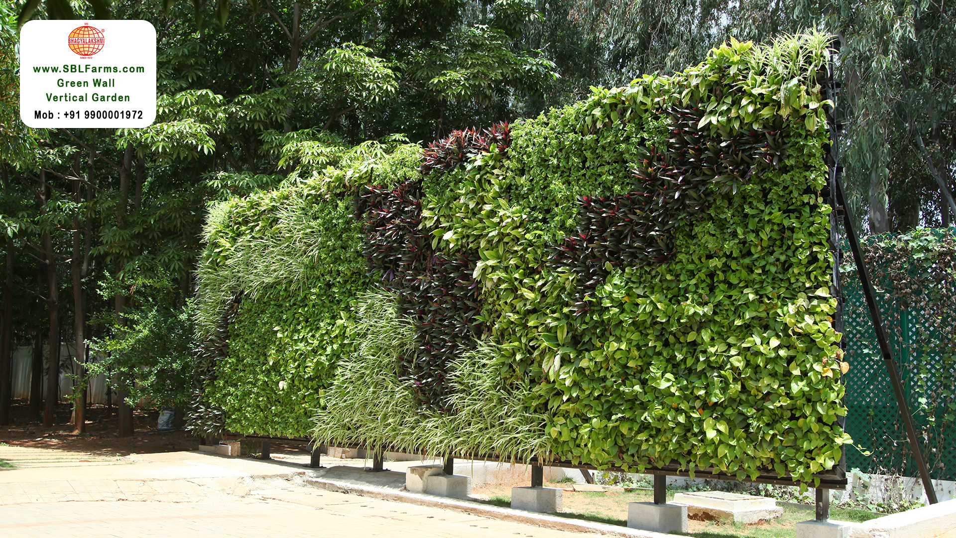 Sbl Farms Green walls and Living walls, Vertical Garden, Bio Curtains,Green wall or vertical garden design for Residence and hotel and resturent in bangalore